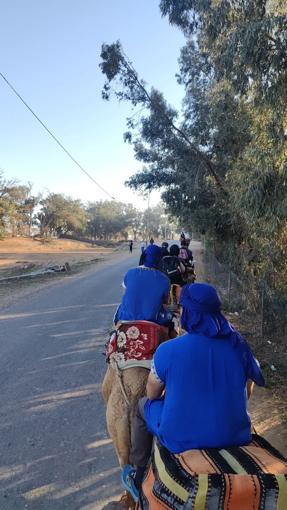 Visiteurs en gandouras bleues traditionnelles à dos de dromadaire près d’Agadir