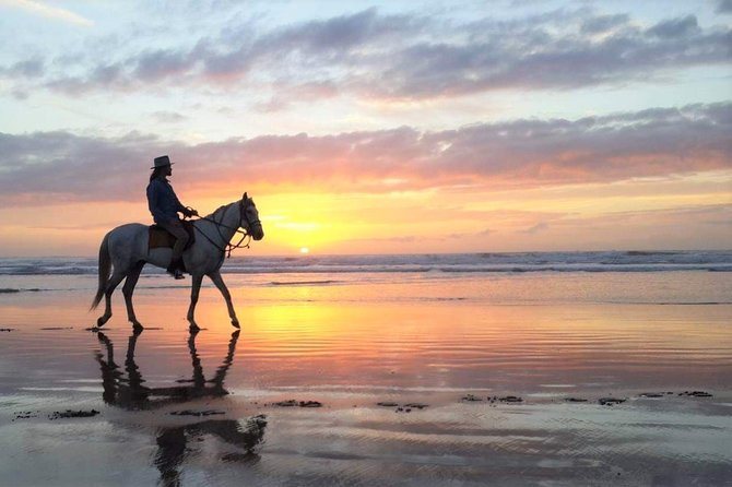Horse ride at sunset