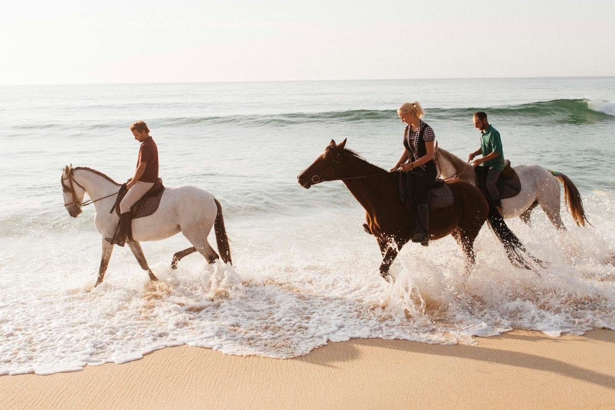 Riders on horseback along the Atlantic shoreline