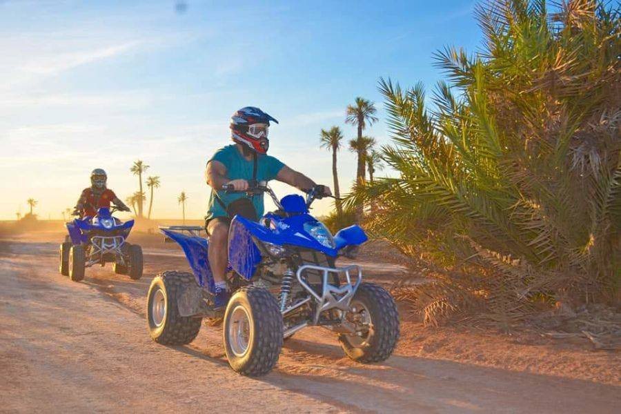 Quad riders on a sandy track lined with palm trees
